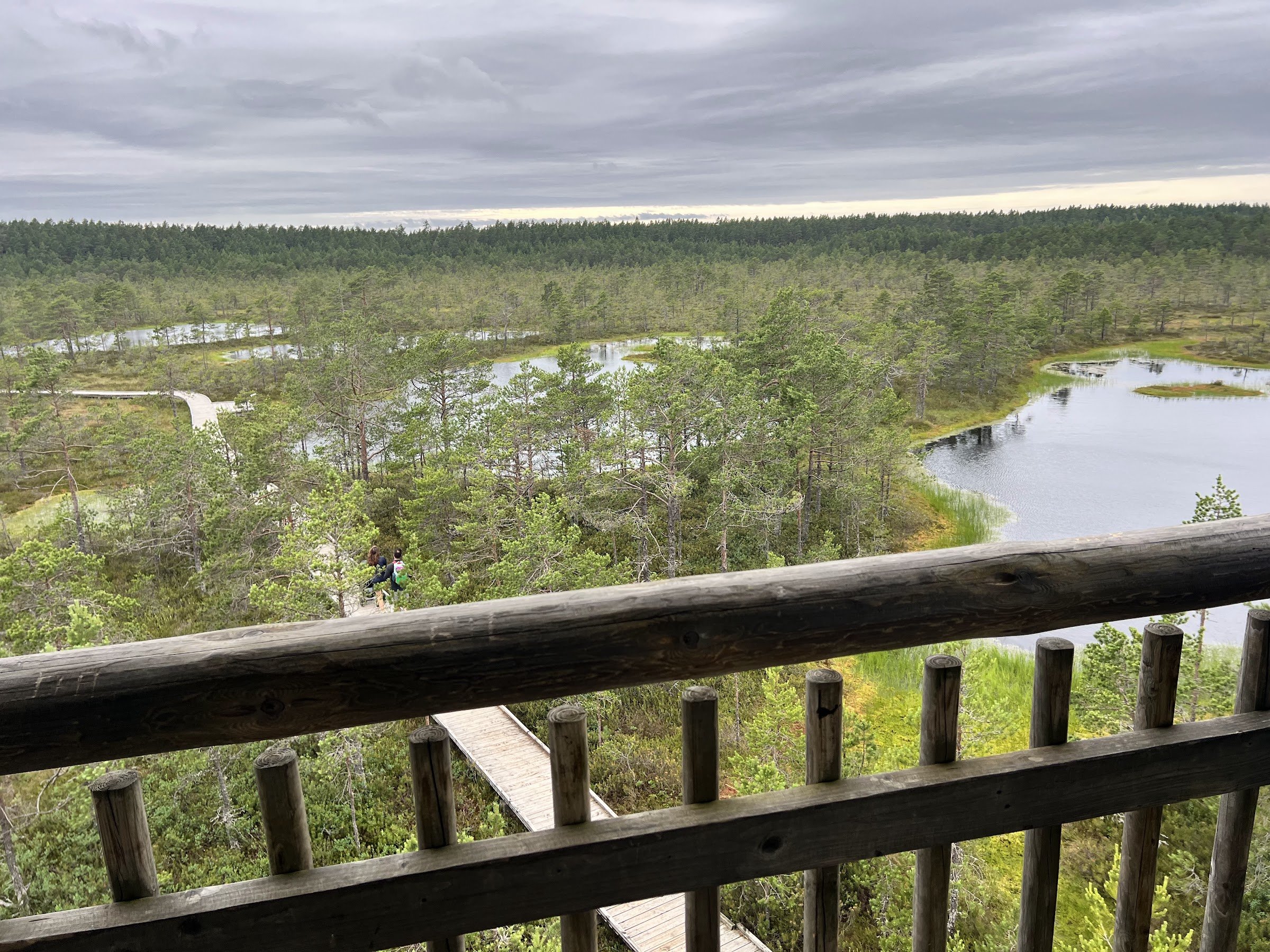 Viru raba vaatetorn (Viru Bog observation tower)